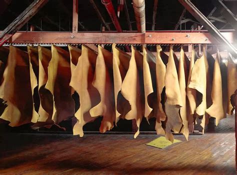 Кожевенное производство Франции в 2025 году: спад экспорта и перспективы развития