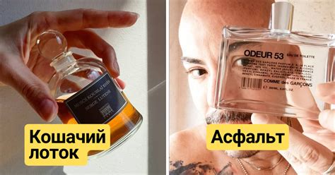 Необычные факты, которые удивят даже любителей странного