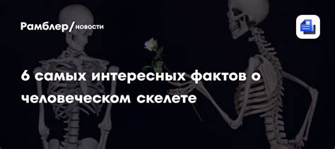 Интересное