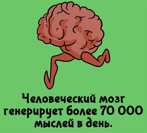 10 удивительных фактов, которые сделают ваш день интереснее