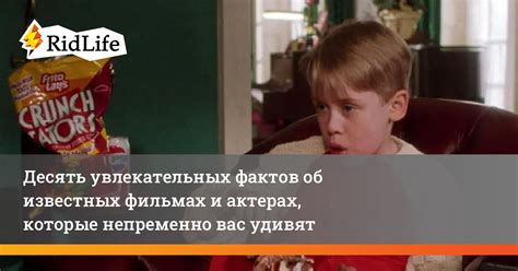 10 увлекательных фактов, которые Вас удивят