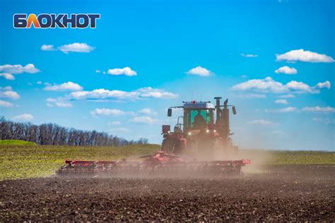 Как выбрать ковер по материалу